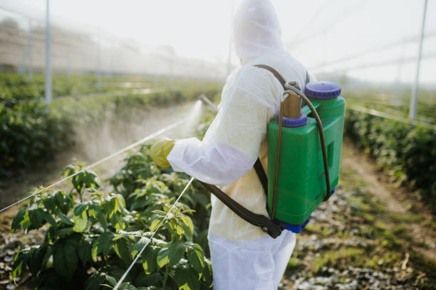 Pest Control for Warehouses